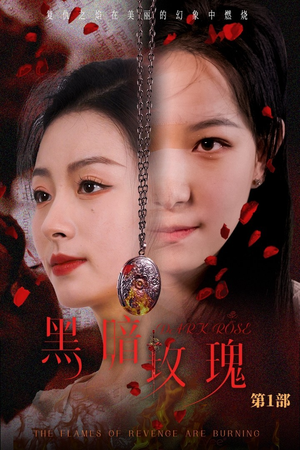 黑暗玫瑰（84集）全网独播免费看