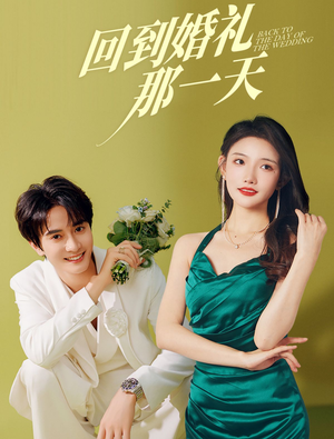 回到婚礼那一天（88集）最火爆的短剧