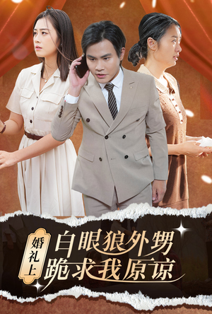 婚礼上白眼狼外甥跪求我原谅（35集）好看吗