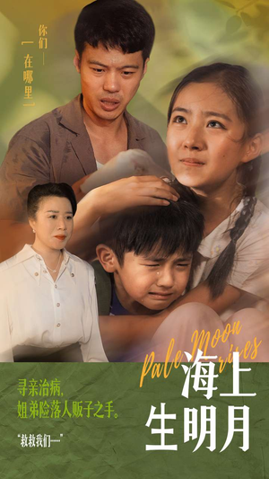 海上生明月（59集）热门短剧追到爽
