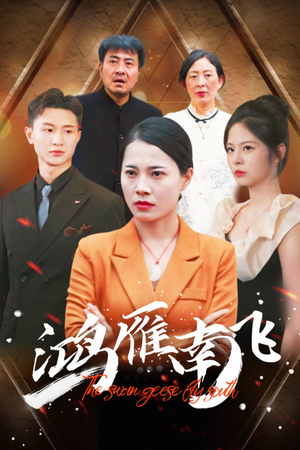 鸿雁南飞（64集）熬夜追短剧