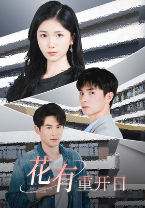 花有重开日（41集）追短剧看全集