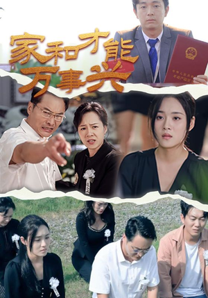 家和才能万事兴（30集）精彩短剧免费看