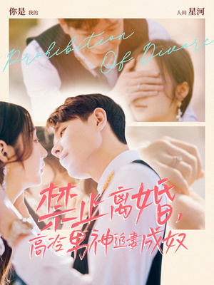 禁止离婚，高冷男神追妻成奴（57集）追风的女孩短剧