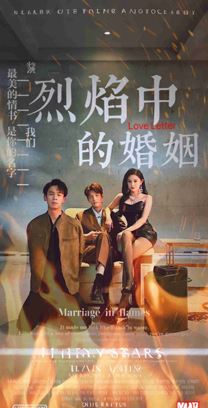 烈焰中的婚姻（32集）免费观看就是爽
