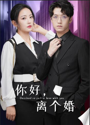 你好，离个婚（30集）短剧抢先看全集