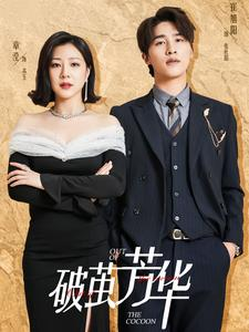 破茧芳华（80集）评价怎么样