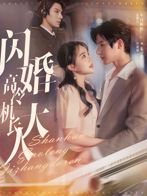 闪婚高冷机长大人（92集）短剧全集大结局
