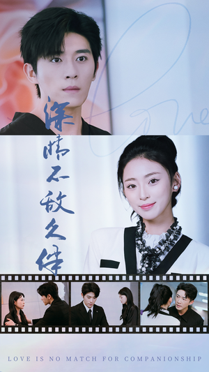 深情不敌久伴（50集）短剧演员排行榜