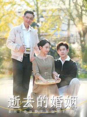 逝去的婚姻（60集）小短剧推荐