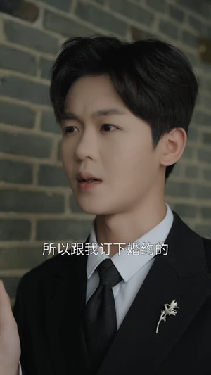 替身金丝雀（66集）在哪个平台能看