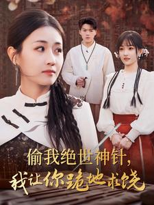 偷我绝世神针，我让你跪地求饶（30集）爆火短剧推荐