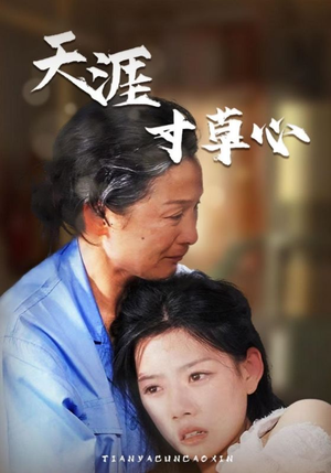 天涯寸草心（76集）热门短剧追到爽