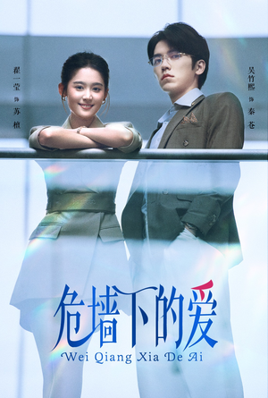 危墙下的爱（63集）在哪看
