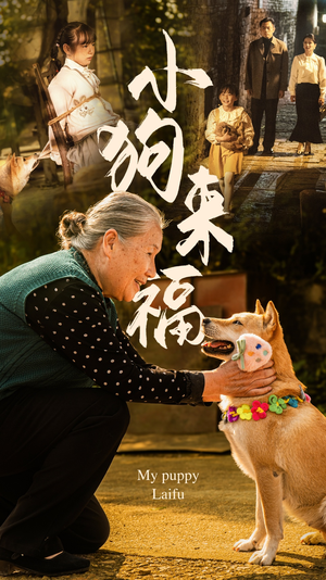 小狗来福（30集）短剧全集免费