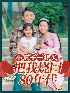 小舅子一把火把我烧回80年代（100集）短剧免费观看