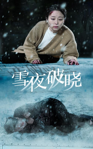 雪夜破晓（36集）免费短剧大全