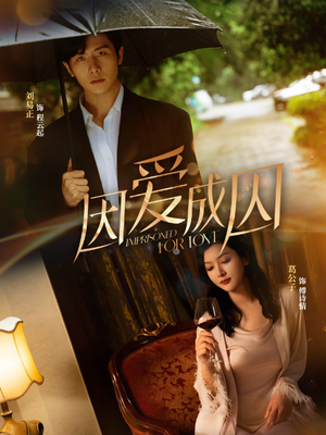 因爱成囚（30集）全集免费观看