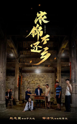 衣锦不还乡（69集）演的怎么样