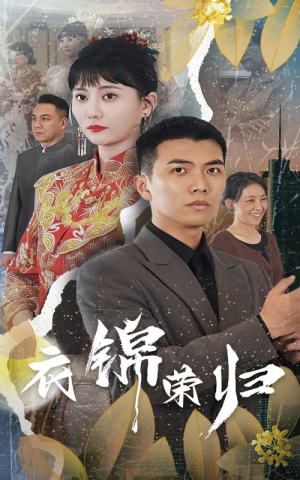 衣锦荣归（81集）一共多少集