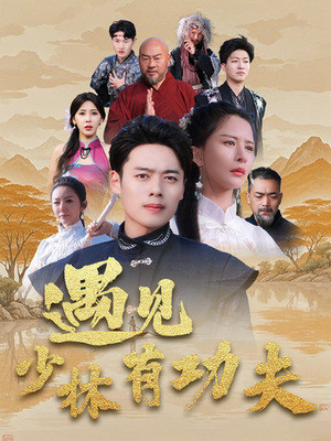 遇见少林有功夫（36集）红果免费看短剧