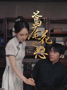 鸢尾花之怒（51集）看短剧放松一下