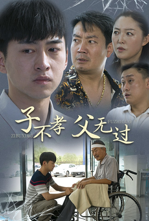 子不孝父无过（30集）精彩短剧下载