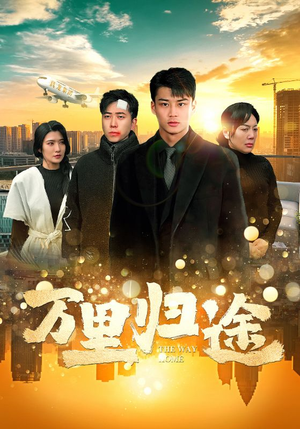 万里归途（70集）免费短剧资源