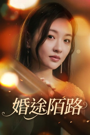 婚途陌路（15集）在线免费观影