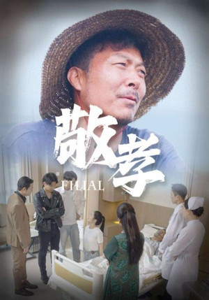 敬孝（61集）最热门短剧来了