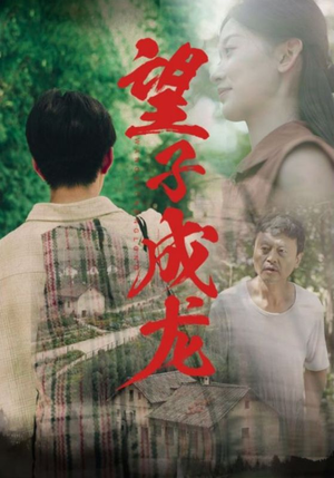 望子成龙（74集）红果免费看短剧