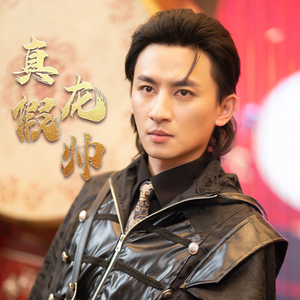 真假龙帅（81集）好短剧分享