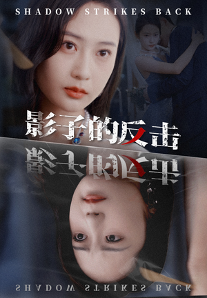 影子的反击（31集）免费在线看全集