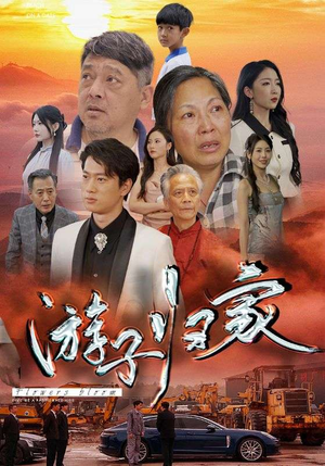游子归家（88集）温柔追捕短剧