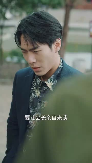 乡村卧龙（88集）短剧更新抢先看