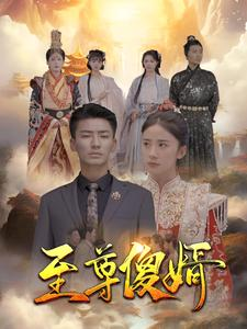 至尊傻婿（82集）新短剧推荐