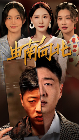 由南向北（88集）在线播放