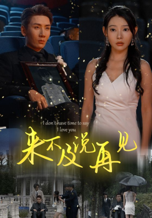 来不及说再见（30集）全季一次看完