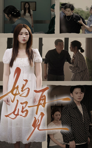 妈妈，再见（28集）在哪个平台能看