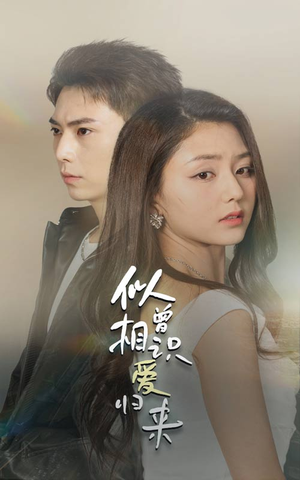 似曾相识爱归来（77集）精彩短剧天天看