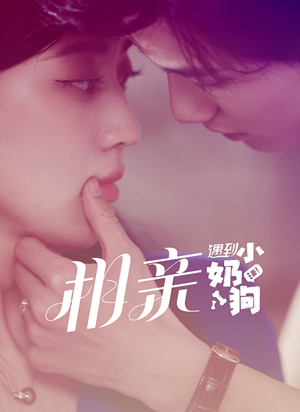 相亲遇到小奶狗（80集）最后一集