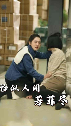 恰似人间芳菲尽（68集）精彩连连免费看