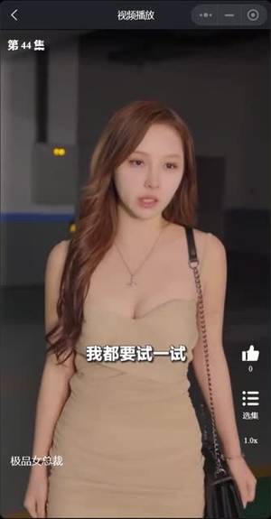 我的富豪美女总裁（我的极品女总裁）全集免费看短剧