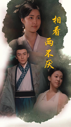这个王妃不好惹（85集）看短剧放松一下