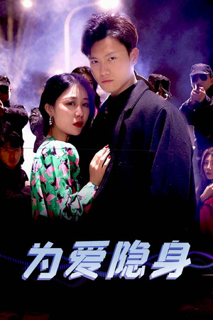 为爱隐身（80集）在哪个平台能看