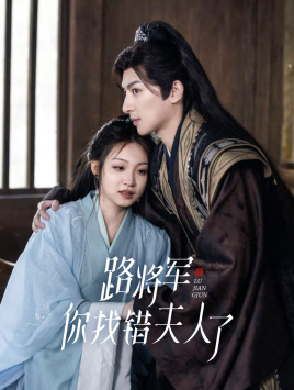 路将军，你找错夫人了（81集）全集免费