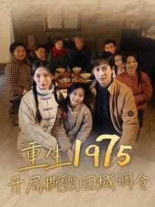 重生1975开局撕毁回城调令（83集）精彩好看短剧