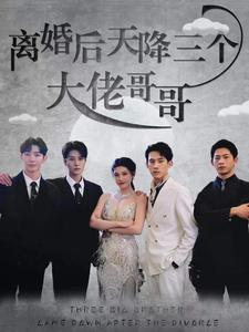 离婚后天降三个大佬哥哥（83集）免费短剧资源