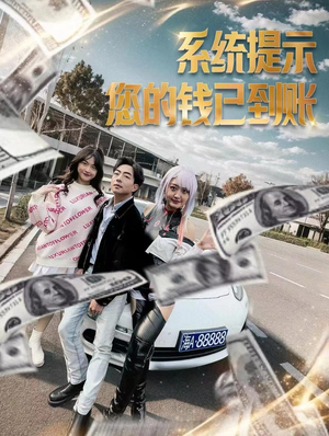 28.系统提示您的钱已到账（100集）每日分享短剧