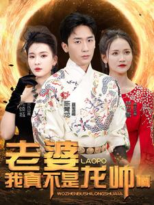 老婆我真不是龙帅啊（95集）推荐好短剧